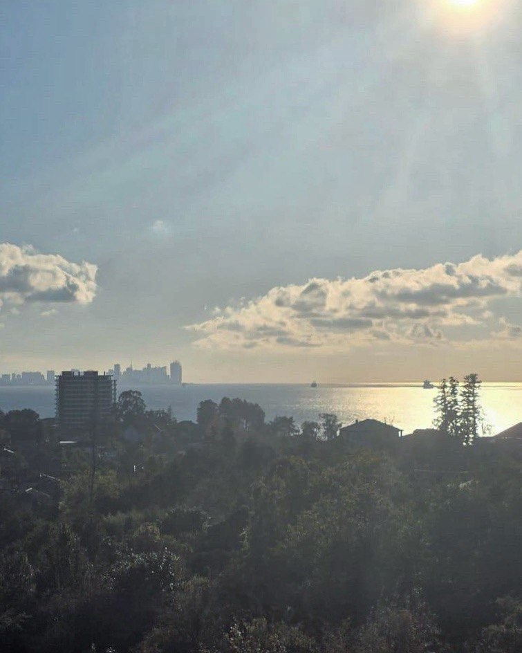 View 2